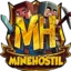 Ikona serwera play.minehostil.org