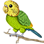 Ikona serwera budgie.network