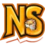 Ikona serwera nssv.pl