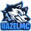 Ikona serwera hazelmc.com