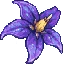 Ikona serwera play.nightshadesmp.net