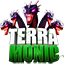 Ikona serwera play.terramonic.com