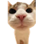 Ikona serwera meepcraft.com