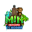 Ikona serwera play.minecuador.lat