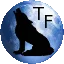 Ikona serwera iee.techfurs.com