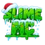 Ikona serwera slimemc.pl