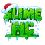 Ikona serwera slimemc.pl