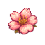 Ikona serwera ashblossom.com