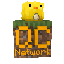 Ikona serwera play.quackcraft.org