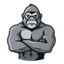Ikona serwera gorillamc.tr