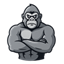 Ikona serwera gorillamc.tr