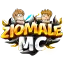 Ikona serwera ziomalemc.pl