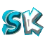 Ikona serwera sk.network