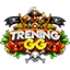 Ikona serwera trening.gg