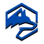 Ikona serwera wolfnetwork.com.br