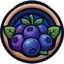 Ikona serwera craftberry.pw