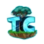 Ikona serwera play.togethercraft.online