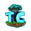 Ikona serwera play.togethercraft.online