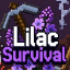 Ikona serwera lilacsurvival.net