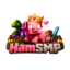 Ikona serwera play.hamsmp.net