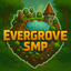 Ikona serwera evergrovesmp.com
