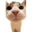 Ikona serwera meepcraft.com