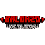 Ikona serwera play.balonzo.net