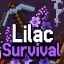 Ikona serwera lilacsurvival.net
