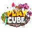 Ikona serwera playcube.pl