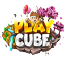 Ikona serwera playcube.pl