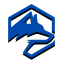 Ikona serwera wolfnetwork.com.br