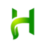 Ikona serwera play.horizion.in