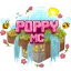 Ikona serwera play.poppymc.com