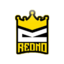 Ikona serwera play.rednogaming.com.tr