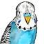 Ikona serwera play.topiacraft.com