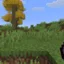 Ikona serwera play.dvalinsmp.com
