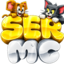 Ikona serwera sermc.pl