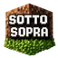 Ikona serwera play.ssmc.it