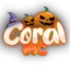 Ikona serwera play.coralmc.it