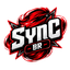 Ikona serwera syncbr.fun