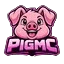 Ikona serwera pigmc.pl