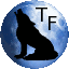 Ikona serwera iee.techfurs.com