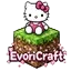 Ikona serwera oyna.evoricraft.com