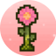 Ikona serwera play.minebloom.net