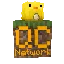 Ikona serwera play.quackcraft.org