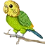 Ikona serwera budgie.network