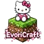 Ikona serwera oyna.evoricraft.com