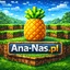 Ikona serwera ana-nas.pl