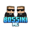 Ikona serwera bossikimc.pl